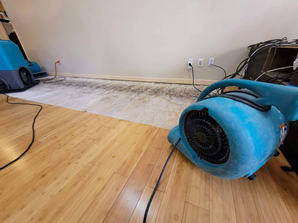 Professional Water Damage Repair technician working in Bentonville, OH